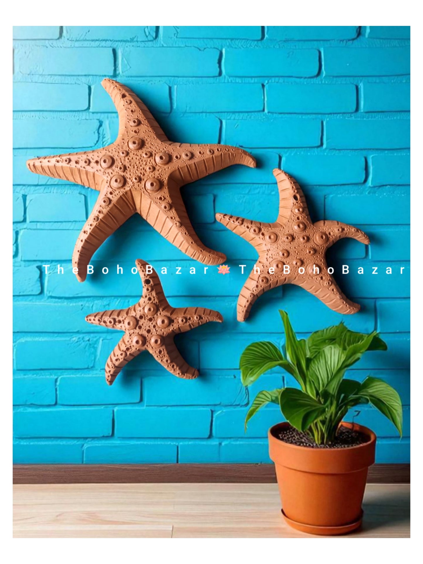 Star Fish Family (Set of 3)
