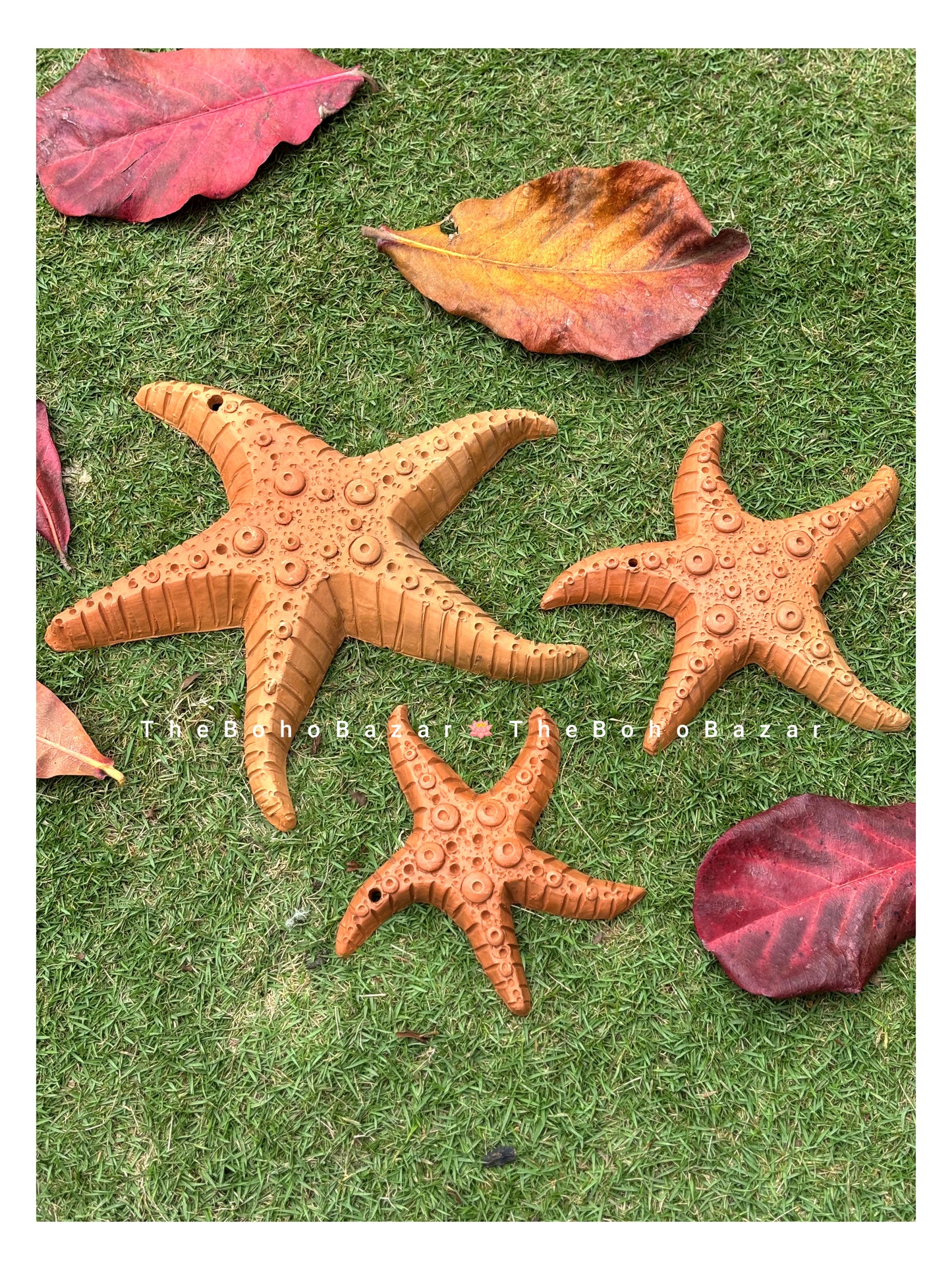 Star Fish Family (Set of 3)